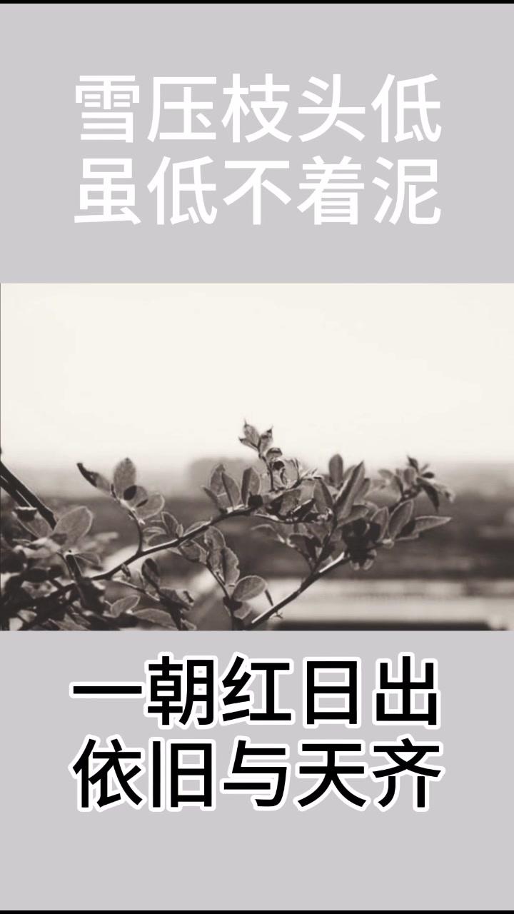 古风诗词