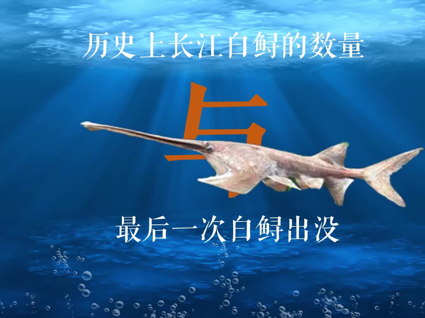 啊玩课的个人主页 - 西瓜视频