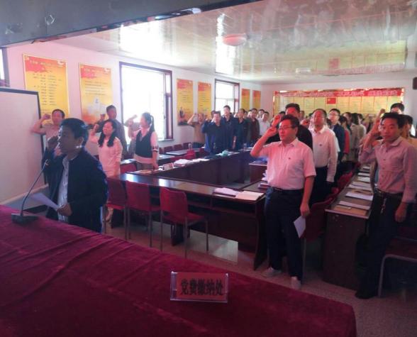 对支部班子意见建议