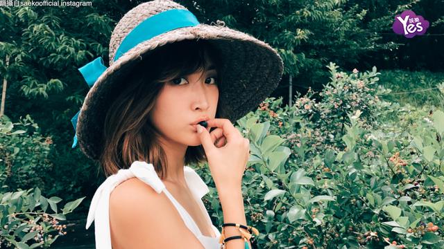 复音口琴c调红河谷曲谱